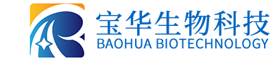 星空网官网-星空online（中国）
